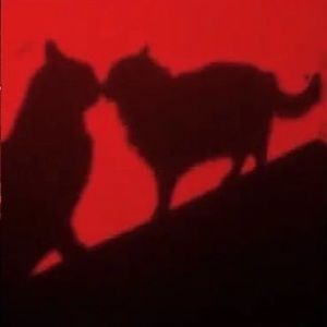 Meet your Posher, Sang